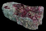 Vibrant, Magenta Erythrite Crystals - Morocco #93592-1